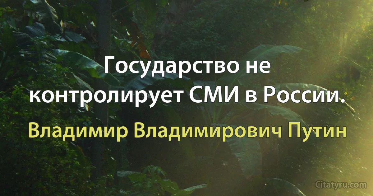 Государство не контролирует СМИ в России. (Владимир Владимирович Путин)