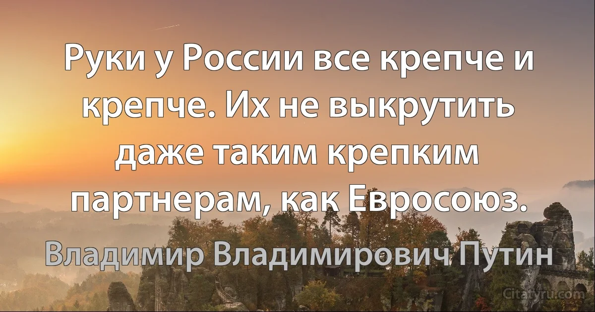 Руки у России все крепче и крепче. Их не выкрутить даже таким крепким партнерам, как Евросоюз. (Владимир Владимирович Путин)