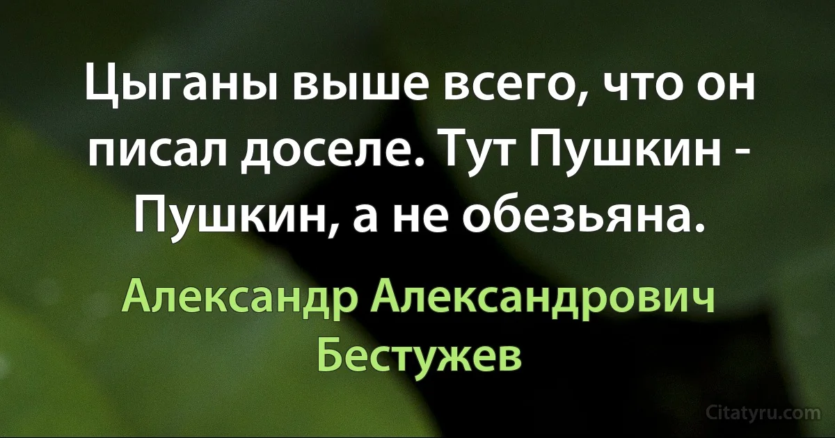 Цыганы выше всего, что он писал доселе. Тут Пушкин - Пушкин, а не обезьяна. (Александр Александрович Бестужев)