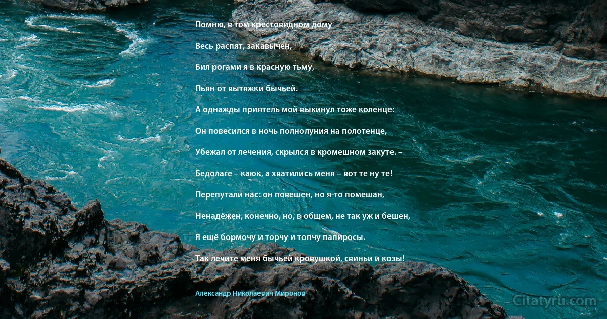 Помню, в том крестовидном дому

Весь распят, закавычен,

Бил рогами я в красную тьму,

Пьян от вытяжки бычьей.

А однажды приятель мой выкинул тоже коленце:

Он повесился в ночь полнолуния на полотенце,

Убежал от лечения, скрылся в кромешном закуте. –

Бедолаге – каюк, а хватились меня – вот те ну те!

Перепутали нас: он повешен, но я-то помешан,

Ненадёжен, конечно, но, в общем, не так уж и бешен,

Я ещё бормочу и торчу и топчу папиросы.

Так лечите меня бычьей кровушкой, свиньи и козы! (Александр Николаевич Миронов)