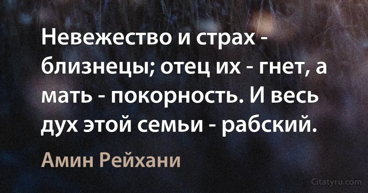 Невежество и страх - близнецы; отец их - гнет, а мать - покорность. И весь дух этой семьи - рабский. (Амин Рейхани)