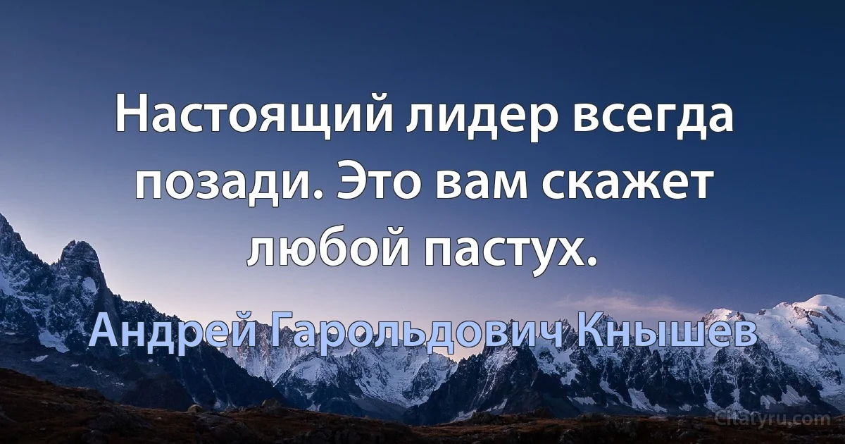 Настоящий лидер всегда позади. Это вам скажет любой пастух. (Андрей Гарольдович Кнышев)