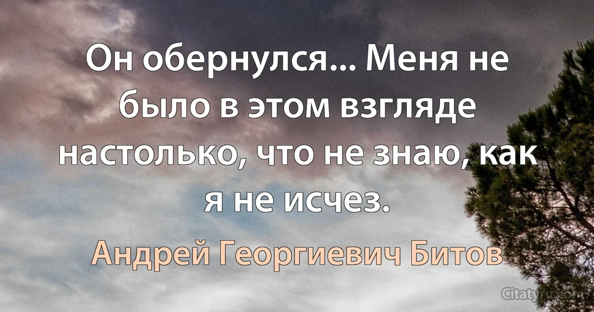 Он обернулся... Меня не было в этом взгляде настолько, что не знаю, как я не исчез. (Андрей Георгиевич Битов)