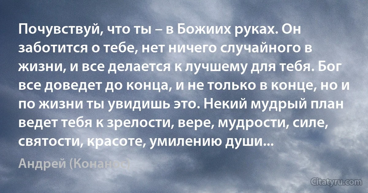 Почувствуй, что ты – в Божиих руках. Он заботится о тебе, нет ничего случайного в жизни, и все делается к лучшему для тебя. Бог все доведет до конца, и не только в конце, но и по жизни ты увидишь это. Некий мудрый план ведет тебя к зрелости, вере, мудрости, силе, святости, красоте, умилению души... (Андрей (Конанос))