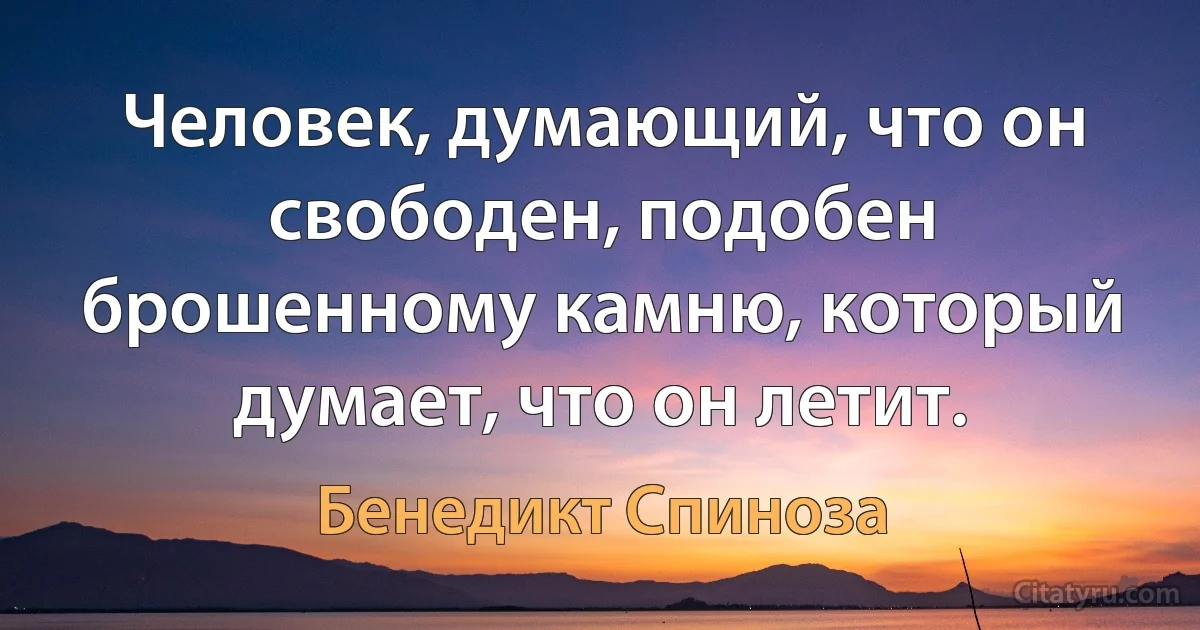 Человек, думающий, что он свободен, подобен брошенному камню, который думает, что он летит. (Бенедикт Спиноза)