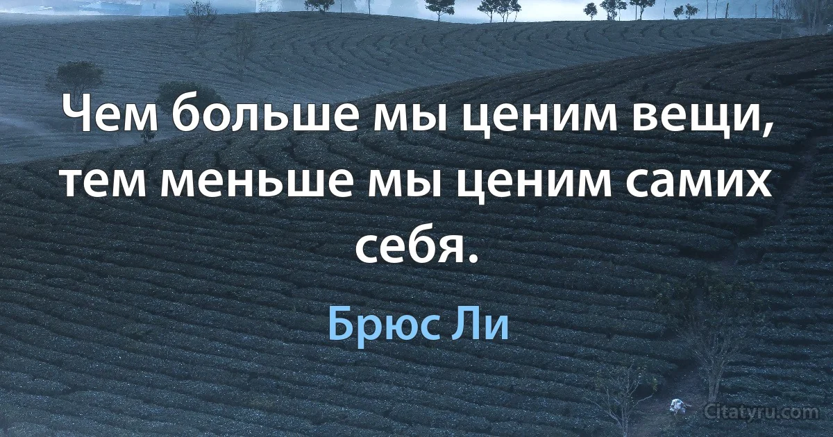 Чем больше мы ценим вещи, тем меньше мы ценим самих себя. (Брюс Ли)