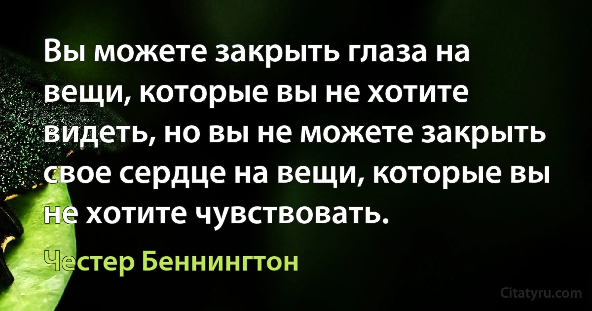 Вы можете закрыть глаза на вещи, которые вы не хотите видеть, но вы не можете закрыть свое сердце на вещи, которые вы не хотите чувствовать. (Честер Беннингтон)