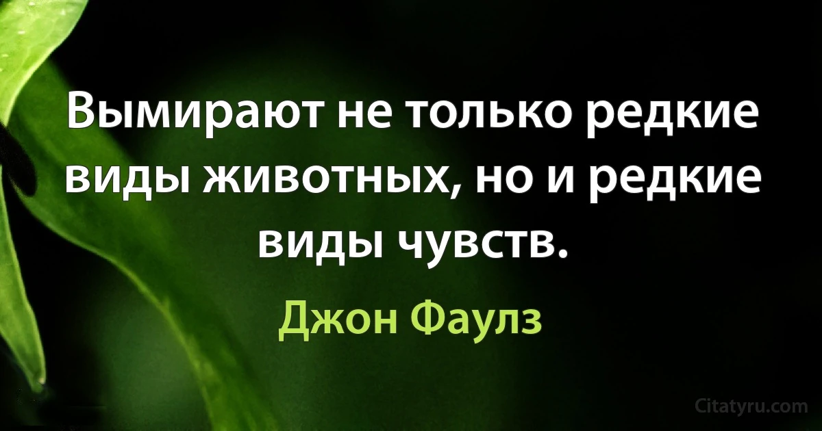 Вымирают не только редкие виды животных, но и редкие виды чувств. (Джон Фаулз)