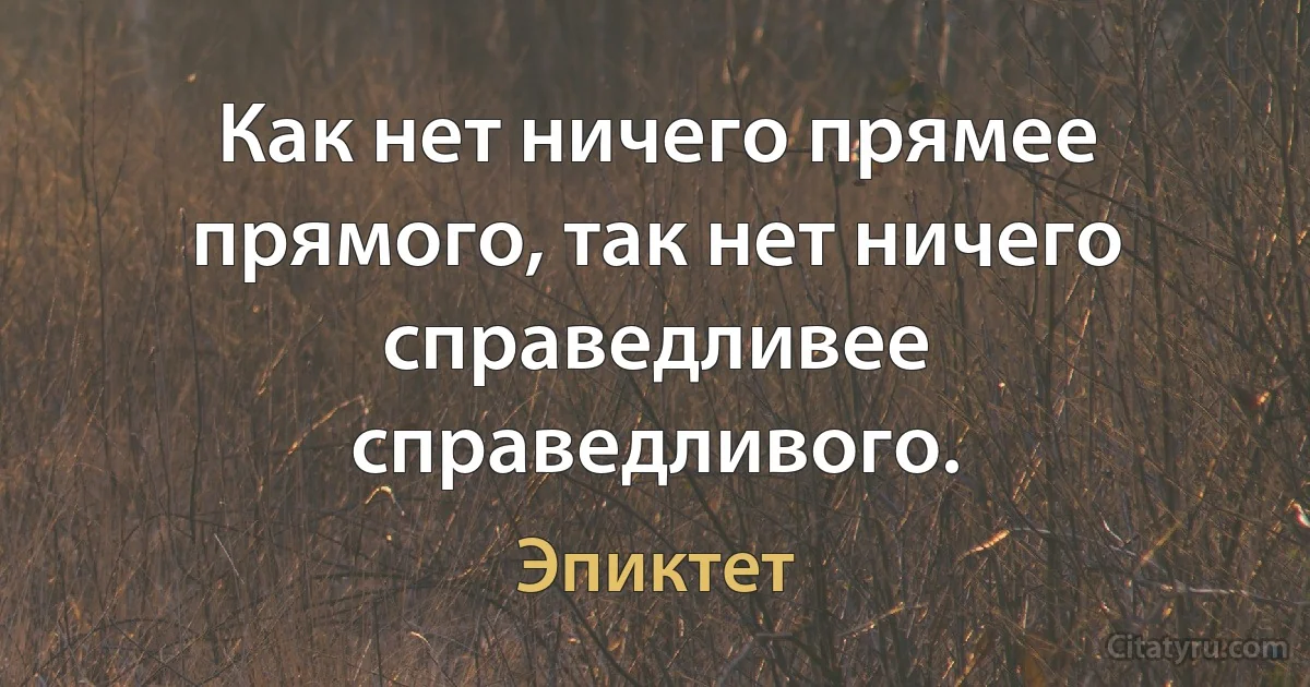 Как нет ничего прямее прямого, так нет ничего справедливее справедливого. (Эпиктет)