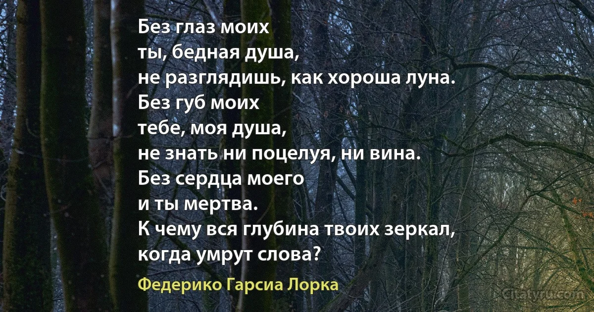 Без глаз моих
ты, бедная душа,
не разглядишь, как хороша луна.
Без губ моих
тебе, моя душа,
не знать ни поцелуя, ни вина.
Без сердца моего
и ты мертва.
К чему вся глубина твоих зеркал,
когда умрут слова? (Федерико Гарсиа Лорка)