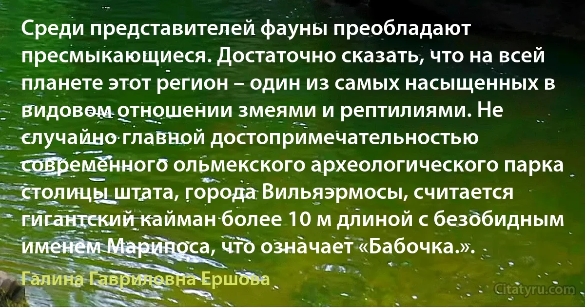 Среди представителей фауны преобладают пресмыкающиеся. Достаточно сказать, что на всей планете этот регион – один из самых насыщенных в видовом отношении змеями и рептилиями. Не случайно главной достопримечательностью современного ольмекского археологического парка столицы штата, города Вильяэрмосы, считается гигантский кайман более 10 м длиной с безобидным именем Марипоса, что означает «Бабочка.». (Галина Гавриловна Ершова)