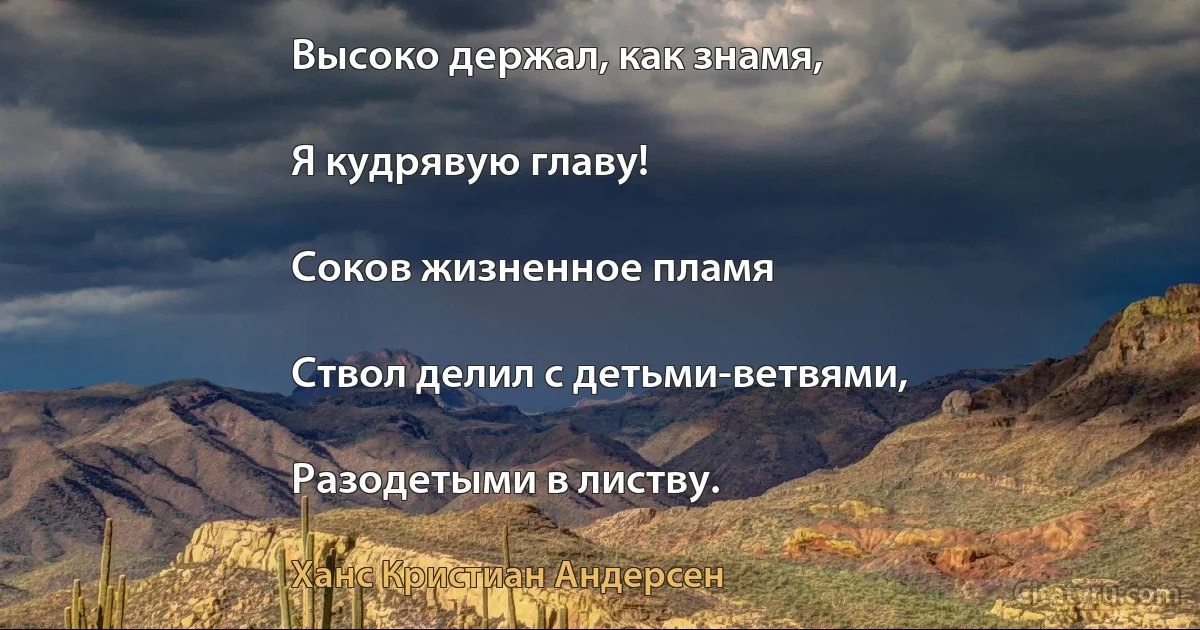 Высоко держал, как знамя,

Я кудрявую главу!

Соков жизненное пламя

Ствол делил с детьми-ветвями,

Разодетыми в листву. (Ханс Кристиан Андерсен)