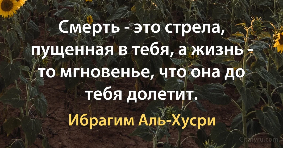 Смерть - это стрела, пущенная в тебя, а жизнь - то мгновенье, что она до тебя долетит. (Ибрагим Аль-Хусри)