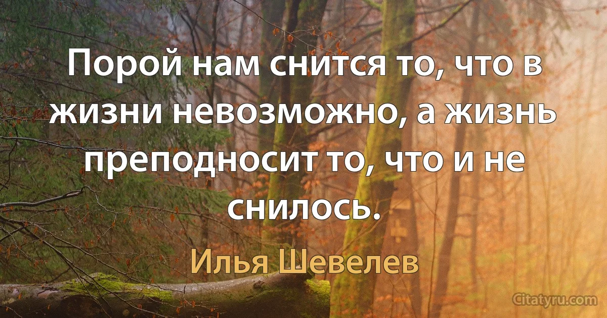 Порой нам снится то, что в жизни невозможно, а жизнь преподносит то, что и не снилось. (Илья Шевелев)