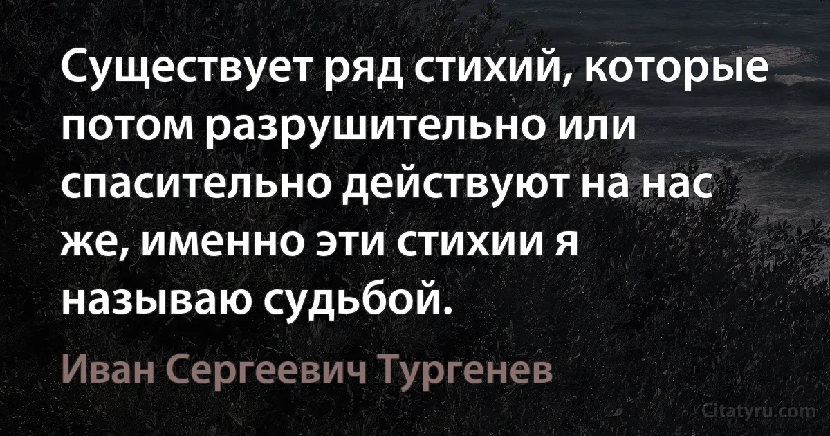 Существует ряд стихий, которые потом разрушительно или спасительно действуют на нас же, именно эти стихии я называю судьбой. (Иван Сергеевич Тургенев)