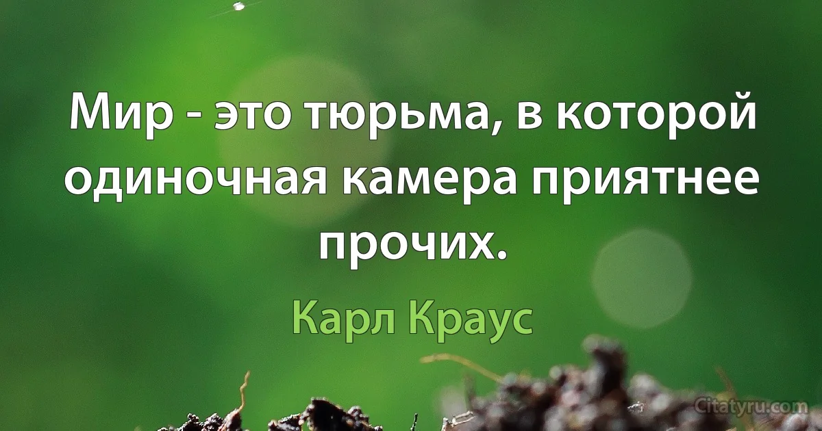 Мир - это тюрьма, в которой одиночная камера приятнее прочих. (Карл Краус)