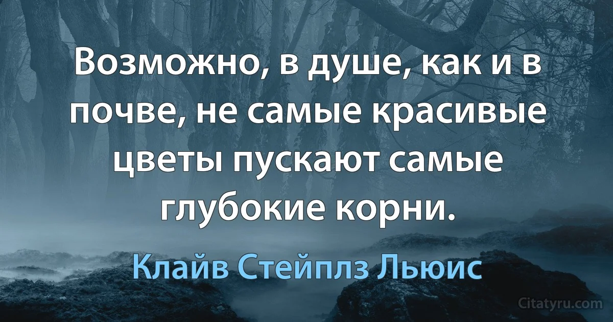 Возможно, в душе, как и в почве, не самые красивые цветы пускают самые глубокие корни. (Клайв Стейплз Льюис)