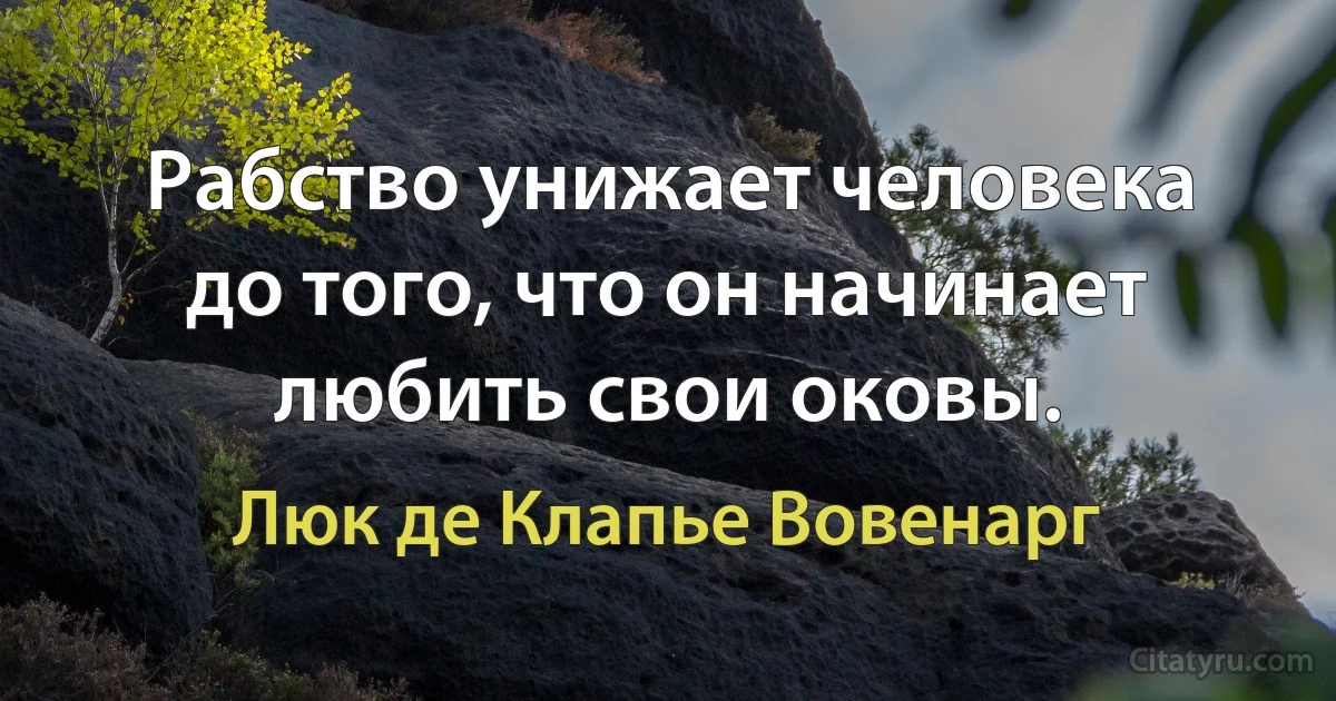 Рабство унижает человека до того, что он начинает любить свои оковы. (Люк де Клапье Вовенарг)