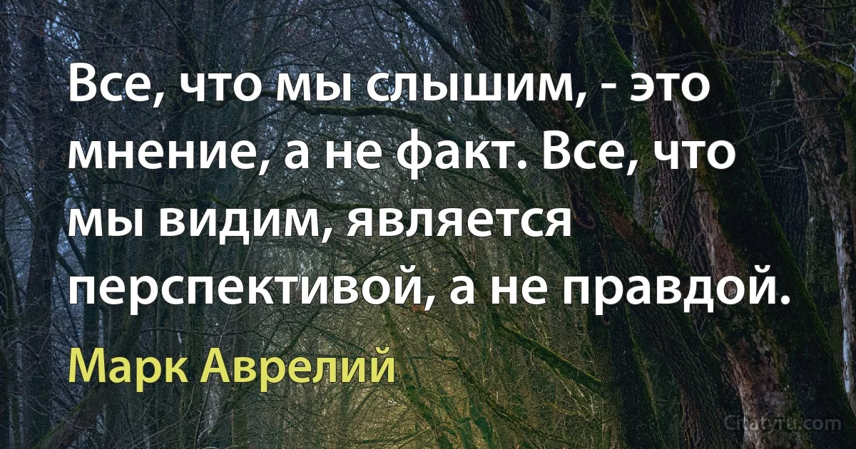 Все, что мы слышим, - это мнение, а не факт. Все, что мы видим, является перспективой, а не правдой. (Марк Аврелий)