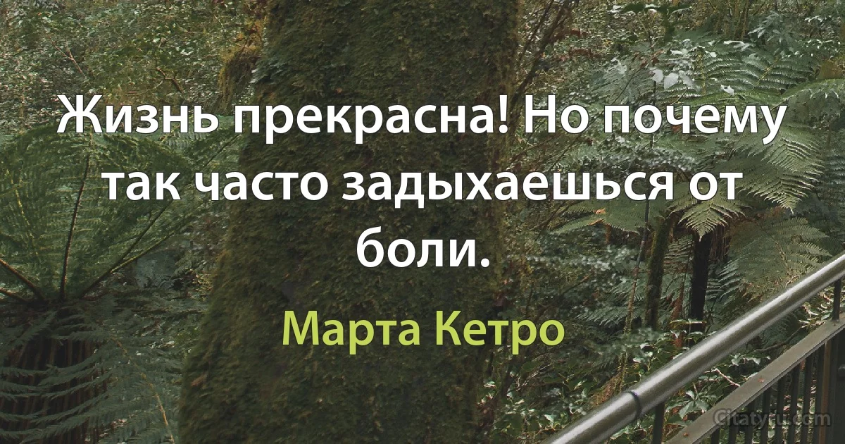 Жизнь прекрасна! Но почему так часто задыхаешься от боли. (Марта Кетро)