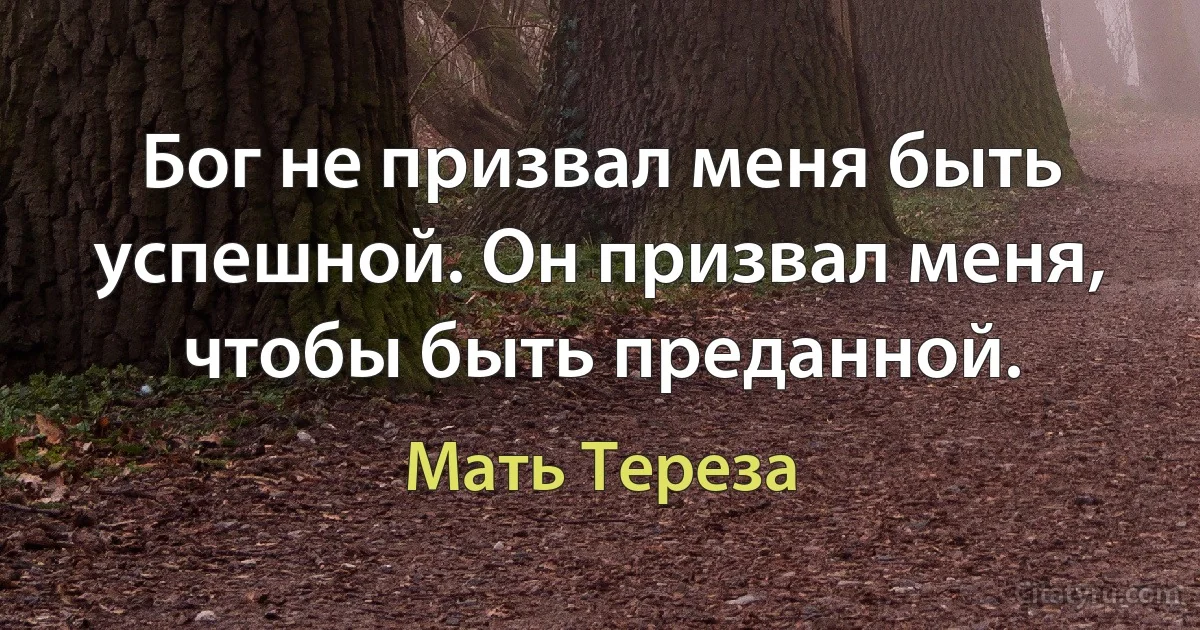 Бог не призвал меня быть успешной. Он призвал меня, чтобы быть преданной. (Мать Тереза)