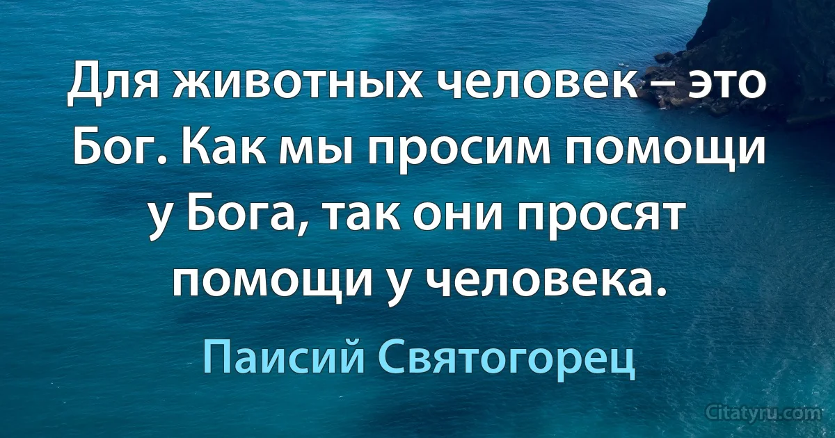 Для животных человек – это Бог. Как мы просим помощи у Бога, так они просят помощи у человека. (Паисий Святогорец)