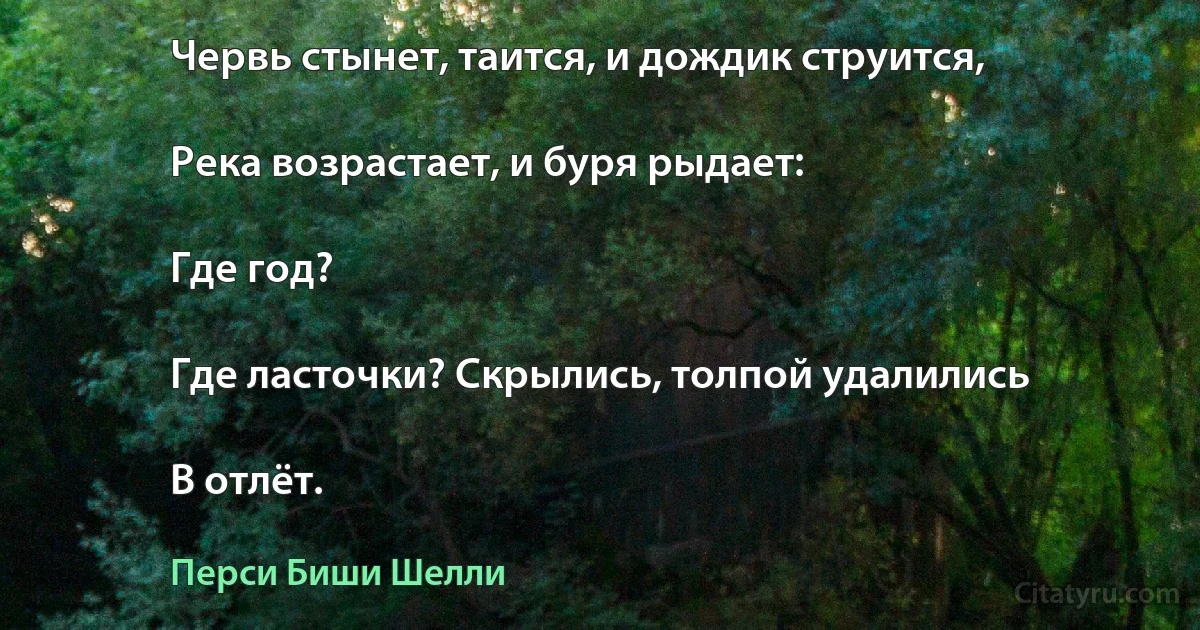 Червь стынет, таится, и дождик струится,

Река возрастает, и буря рыдает:

Где год?

Где ласточки? Скрылись, толпой удалились

В отлёт. (Перси Биши Шелли)