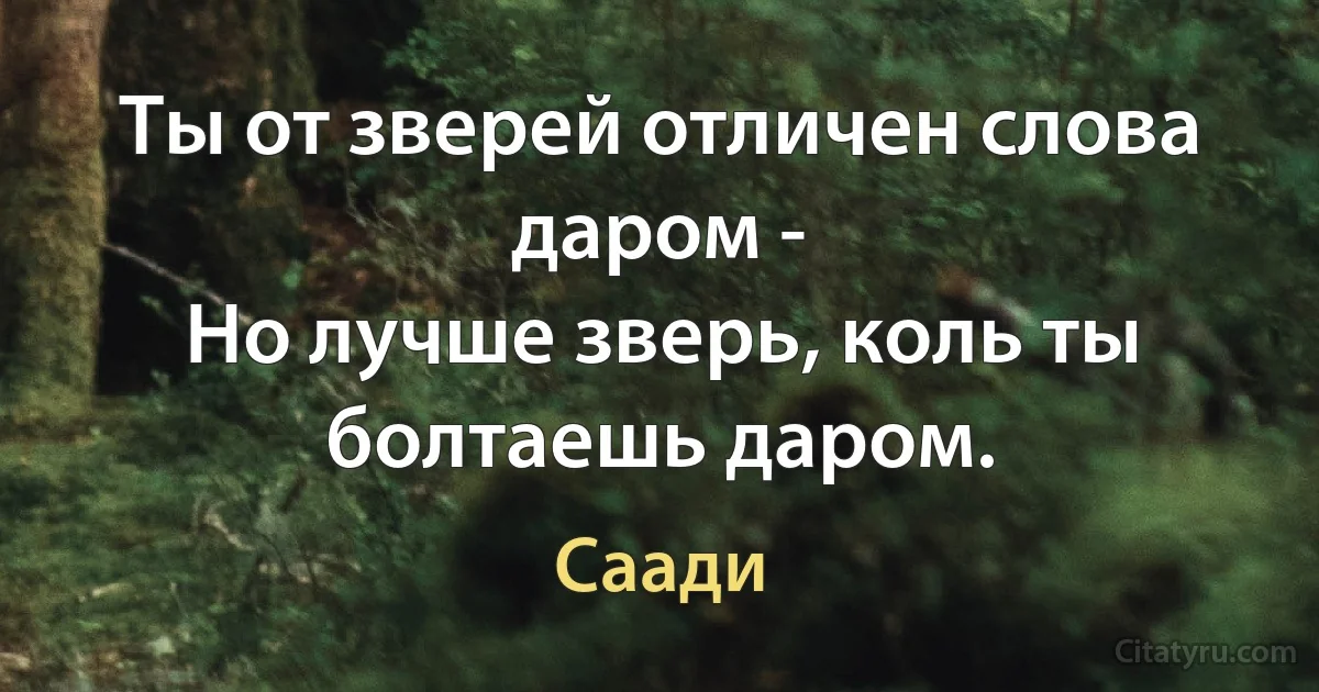 Ты от зверей отличен слова даром -
Но лучше зверь, коль ты болтаешь даром. (Саади)