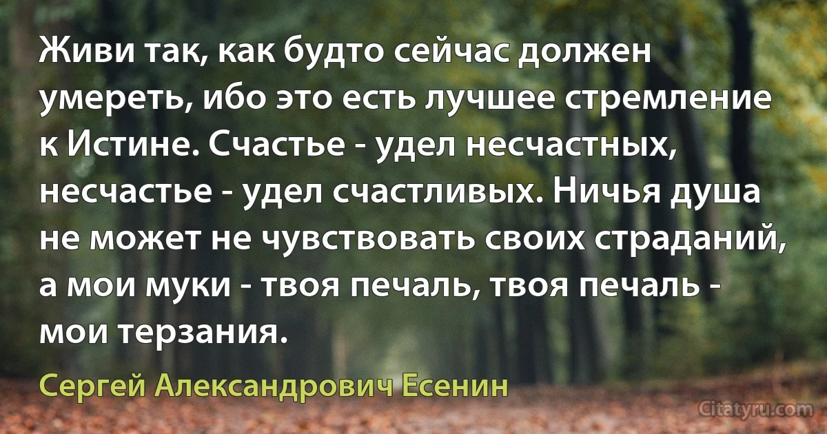 Живи так, как будто сейчас должен умереть, ибо это есть лучшее стремление к Истине. Счастье - удел несчастных, несчастье - удел счастливых. Ничья душа не может не чувствовать своих страданий, а мои муки - твоя печаль, твоя печаль - мои терзания. (Сергей Александрович Есенин)