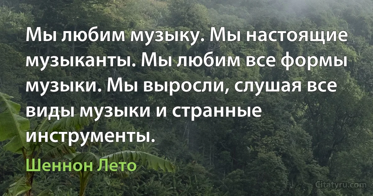 Мы любим музыку. Мы настоящие музыканты. Мы любим все формы музыки. Мы выросли, слушая все виды музыки и странные инструменты. (Шеннон Лето)