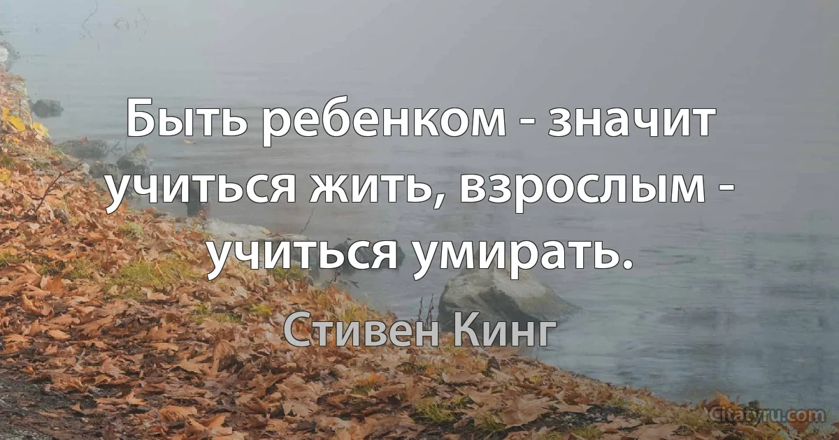 Быть ребенком - значит учиться жить, взрослым - учиться умирать. (Стивен Кинг)