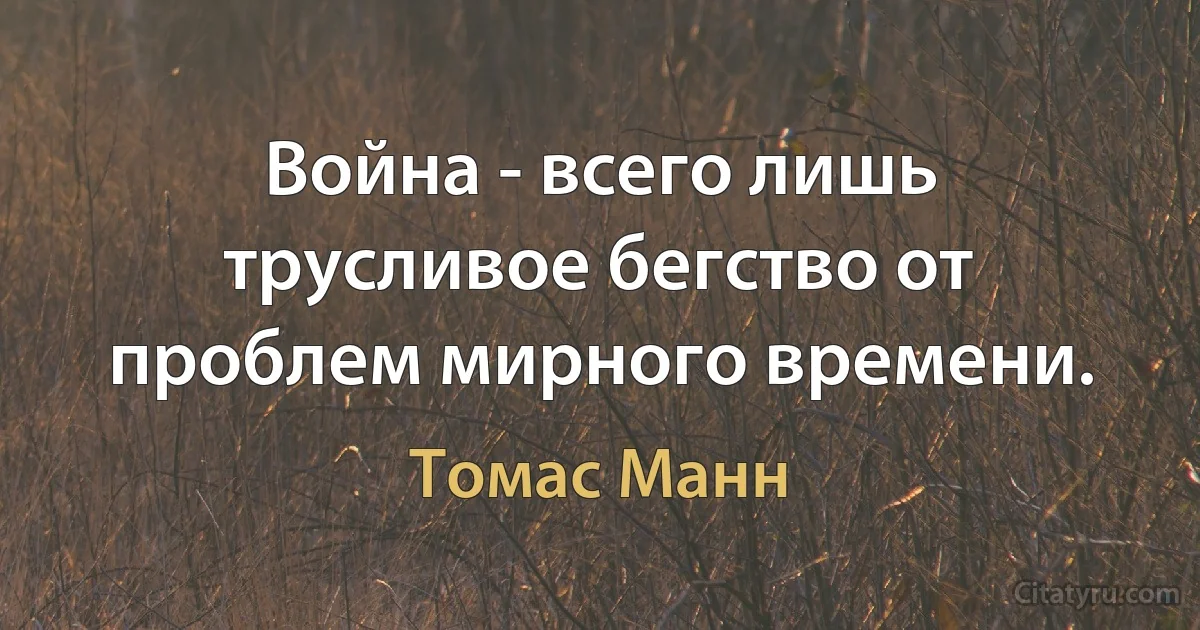 Война - всего лишь трусливое бегство от проблем мирного времени. (Томас Манн)