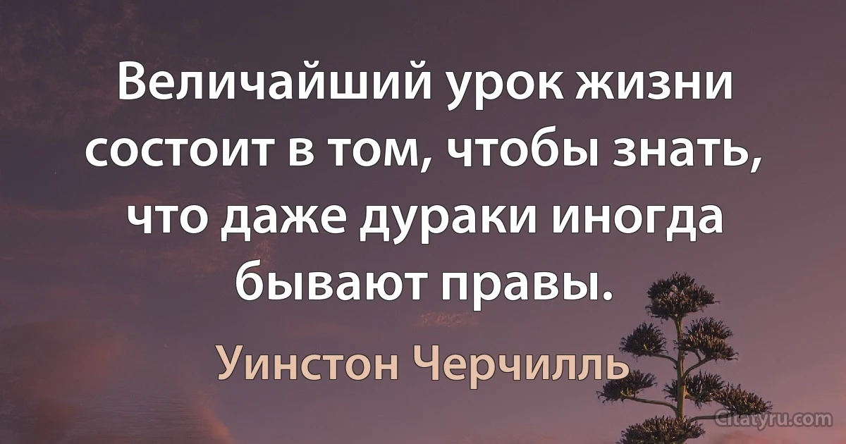 Величайший урок жизни состоит в том, чтобы знать, что даже дураки иногда бывают правы. (Уинстон Черчилль)