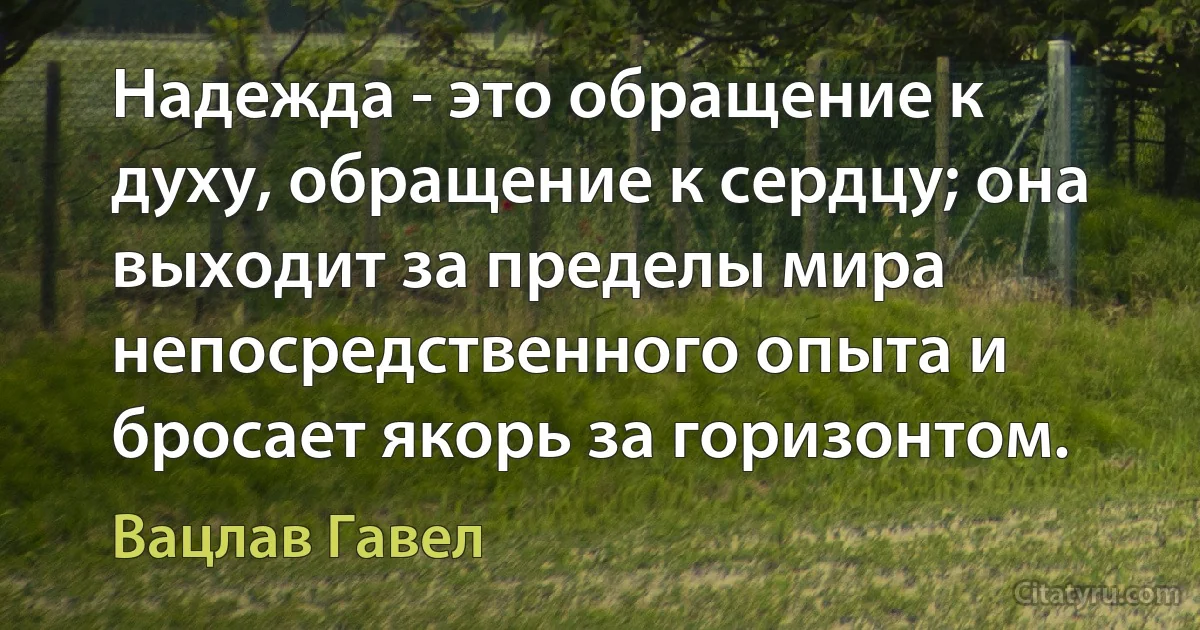 Надежда - это обращение к духу, обращение к сердцу; она выходит за пределы мира непосредственного опыта и бросает якорь за горизонтом. (Вацлав Гавел)