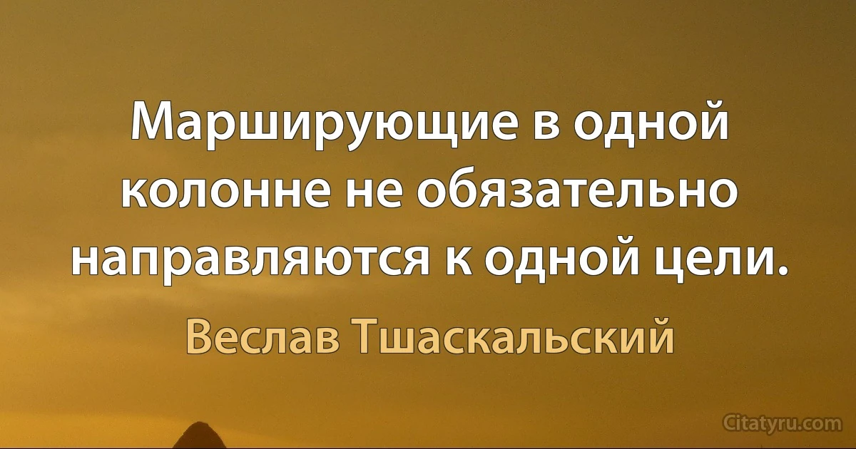 Марширующие в одной колонне не обязательно направляются к одной цели. (Веслав Тшаскальский)