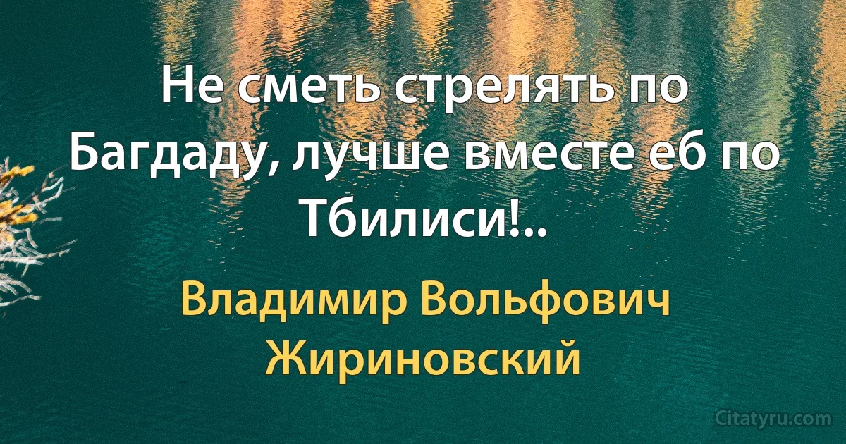 Не сметь стрелять по Багдаду, лучше вместе еб по Тбилиси!.. (Владимир Вольфович Жириновский)