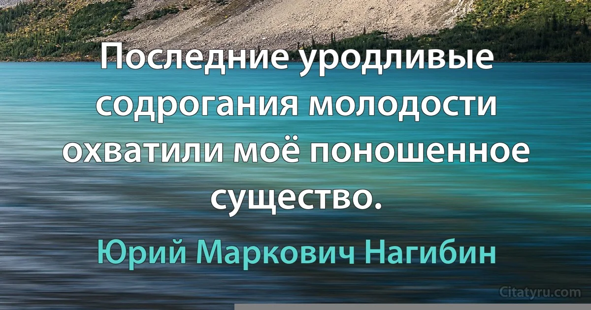 Последние уродливые содрогания молодости охватили моё поношенное существо. (Юрий Маркович Нагибин)