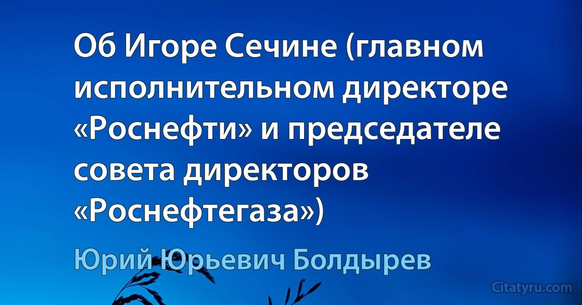 Об Игоре Сечине (главном исполнительном директоре «Роснефти» и председателе совета директоров «Роснефтегаза») (Юрий Юрьевич Болдырев)