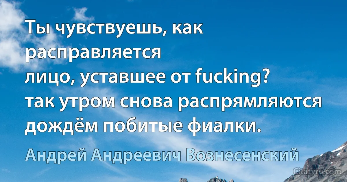 Ты чувствуешь, как расправляется
лицо, уставшее от fucking?
так утром снова распрямляются
дождём побитые фиалки. (Андрей Андреевич Вознесенский)