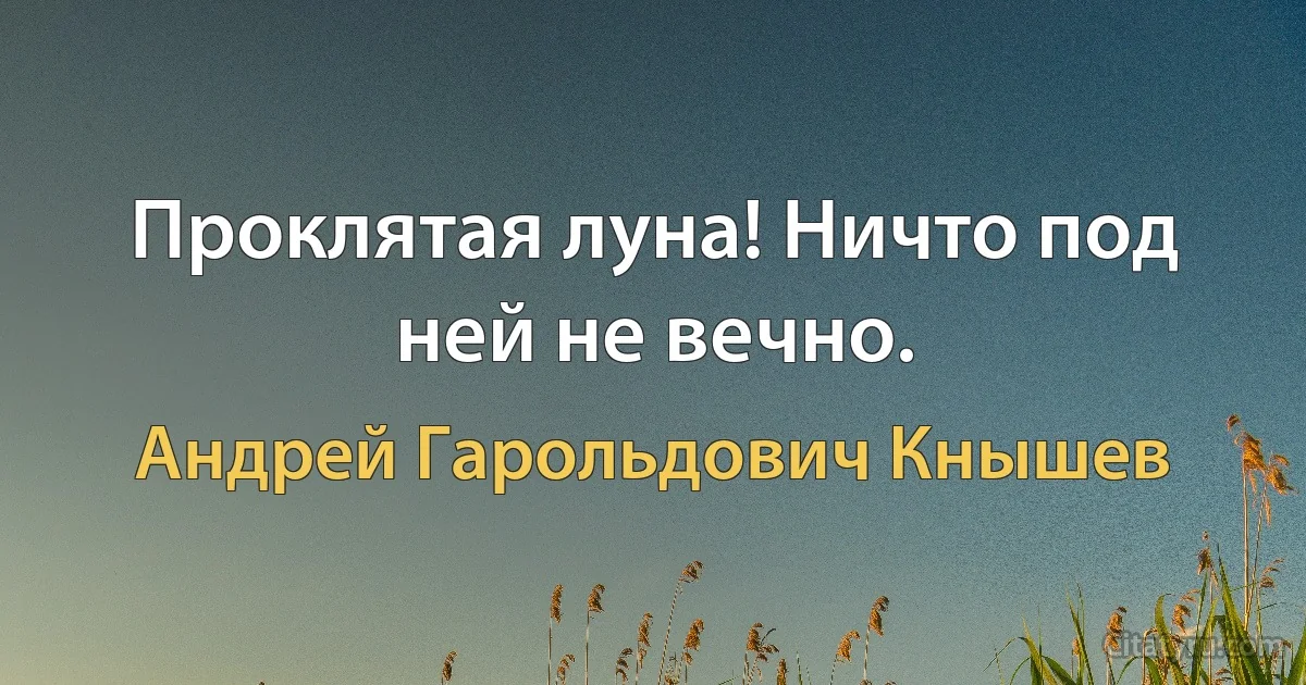 Проклятая луна! Ничто под ней не вечно. (Андрей Гарольдович Кнышев)