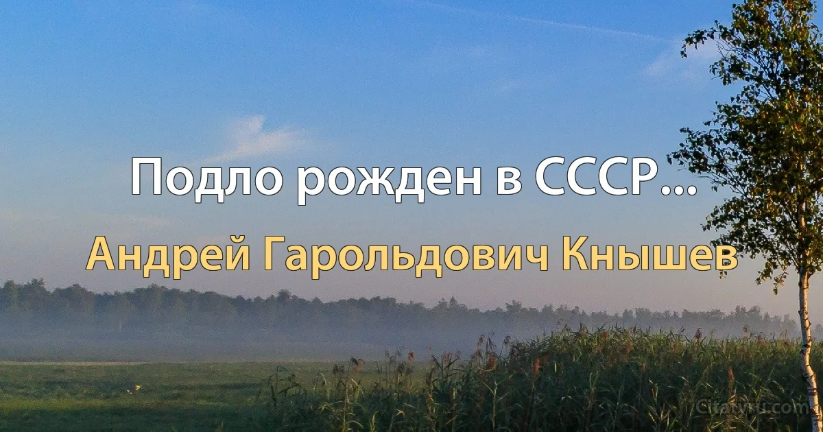 Подло рожден в СССР... (Андрей Гарольдович Кнышев)