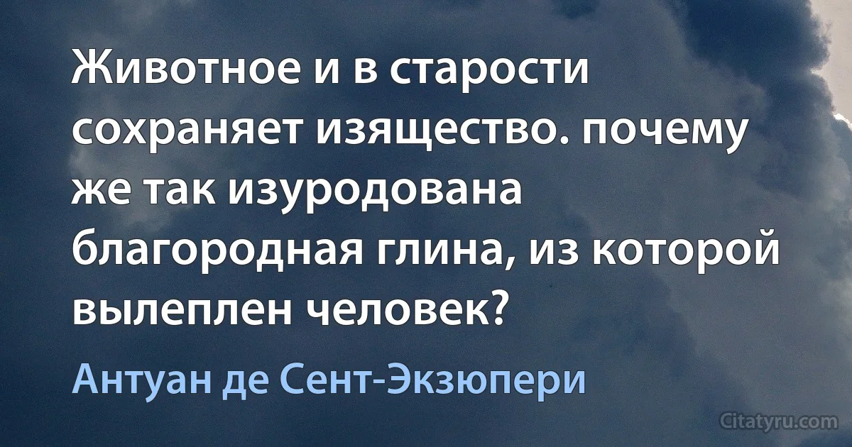 Животное и в старости сохраняет изящество. почему же так изуродована благородная глина, из которой вылеплен человек? (Антуан де Сент-Экзюпери)