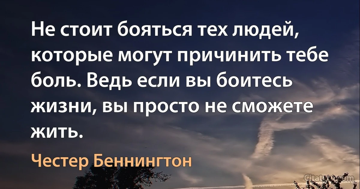 Не стоит бояться тех людей, которые могут причинить тебе боль. Ведь если вы боитесь жизни, вы просто не сможете жить. (Честер Беннингтон)