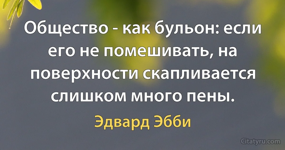 Общество - как бульон: если его не помешивать, на поверхности скапливается слишком много пены. (Эдвард Эбби)