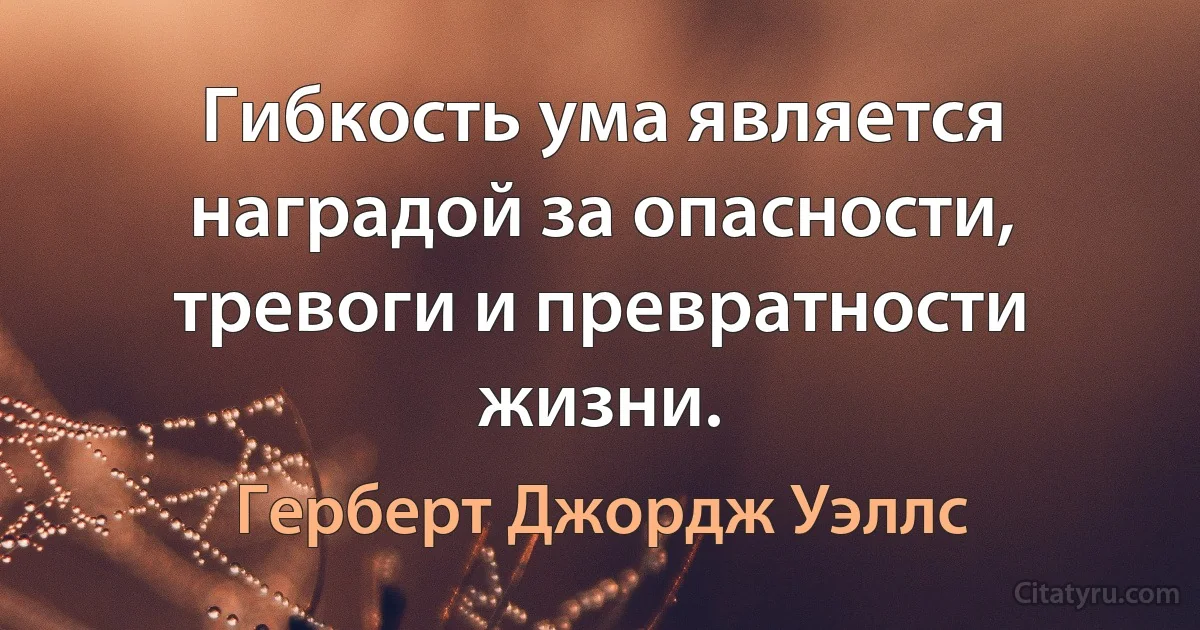 Гибкость ума является наградой за опасности, тревоги и превратности жизни. (Герберт Джордж Уэллс)