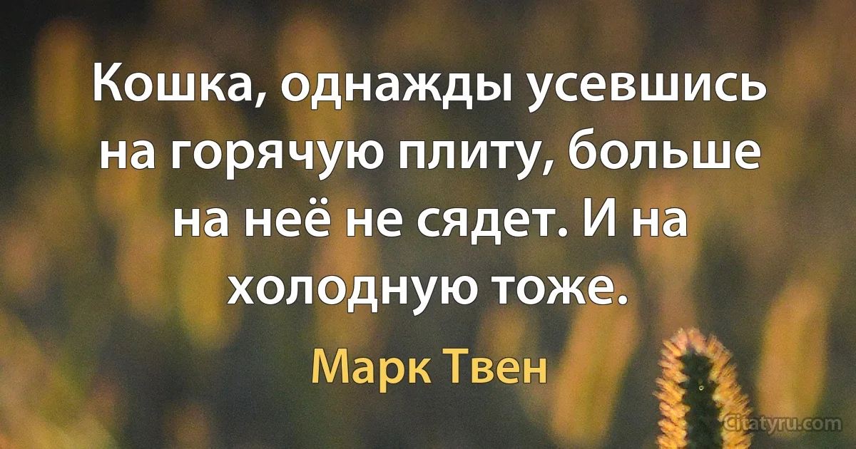 Кошка, однажды усевшись на горячую плиту, больше на неё не сядет. И на холодную тоже. (Марк Твен)