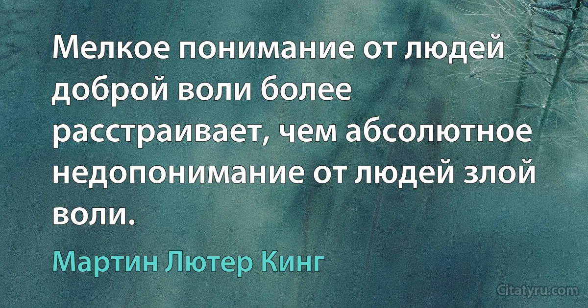 Мелкое понимание от людей доброй воли более расстраивает, чем абсолютное недопонимание от людей злой воли. (Мартин Лютер Кинг)