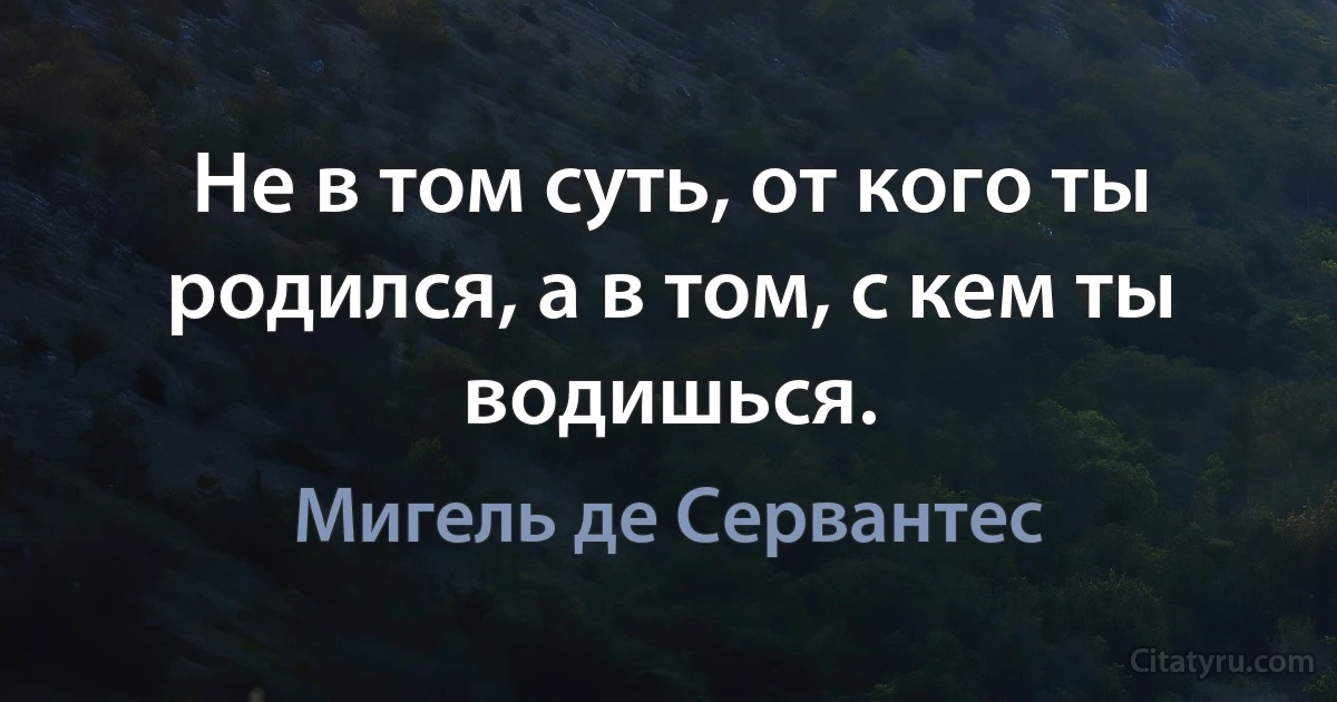 Не в том суть, от кого ты родился, а в том, с кем ты водишься. (Мигель де Сервантес)