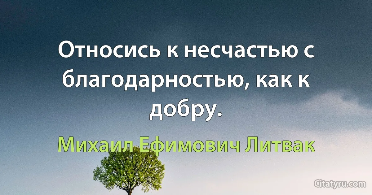 Относись к несчастью с благодарностью, как к добру. (Михаил Ефимович Литвак)