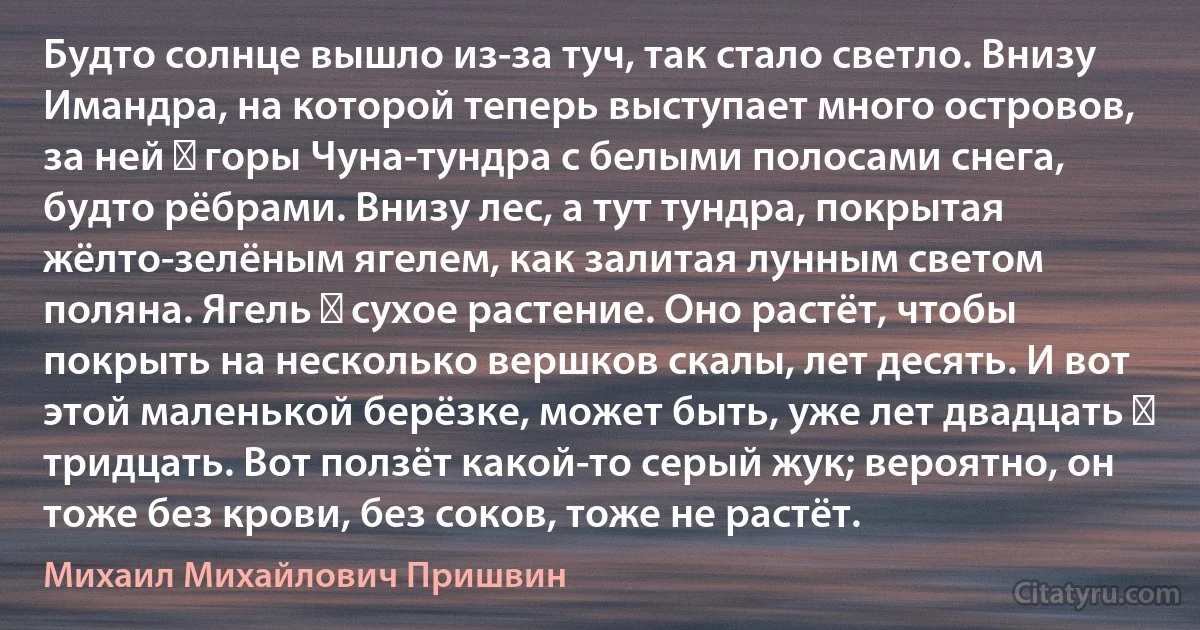 Будто солнце вышло из-за туч, так стало светло. Внизу Имандра, на которой теперь выступает много островов, за ней ― горы Чуна-тундра с белыми полосами снега, будто рёбрами. Внизу лес, а тут тундра, покрытая жёлто-зелёным ягелем, как залитая лунным светом поляна. Ягель ― сухое растение. Оно растёт, чтобы покрыть на несколько вершков скалы, лет десять. И вот этой маленькой берёзке, может быть, уже лет двадцать ― тридцать. Вот ползёт какой-то серый жук; вероятно, он тоже без крови, без соков, тоже не растёт. (Михаил Михайлович Пришвин)